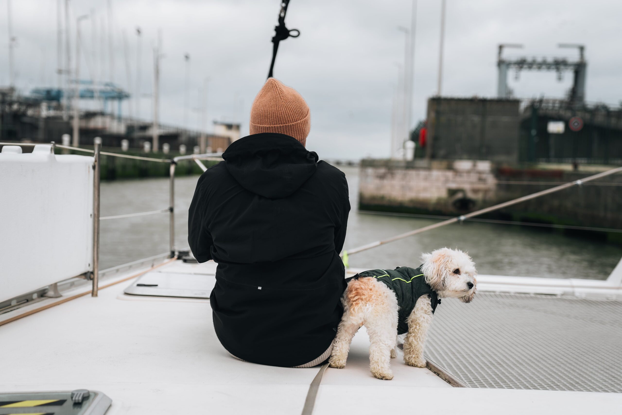 Lexi the dog with the SailLink crew at the Boulogne-sur-Mer pontoon